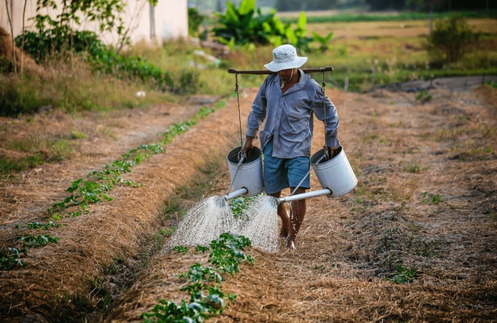 Grassroots Innovation & Rural Sustainability