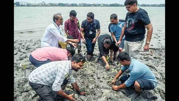 1785415360_1OKOoqbTs7NFRigf.webp